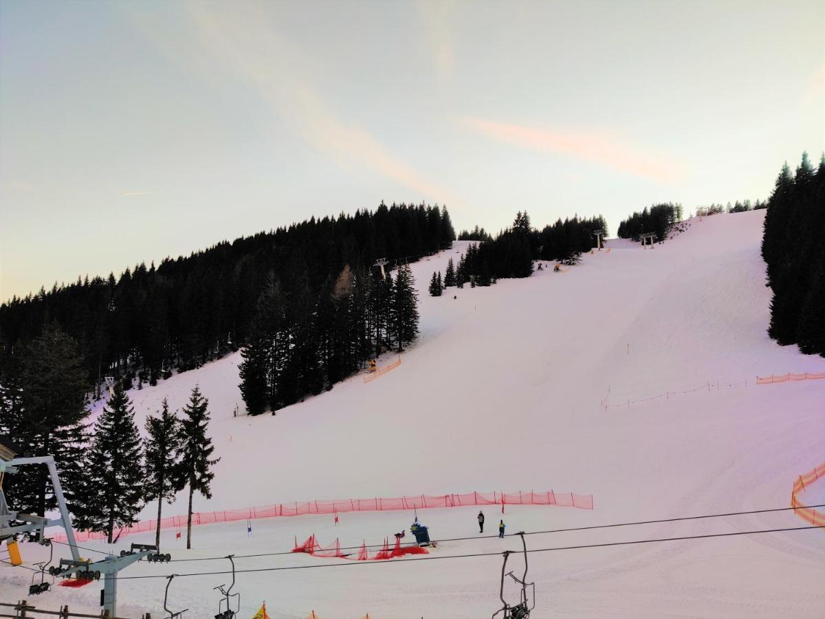 Apartma A1 Golte Mozirje Esterno foto